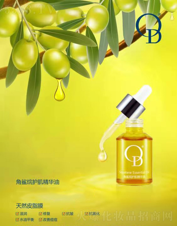 �麣ؐ������Ƽ����޹�˾��OD����?f��)��o(h��)�w���A��