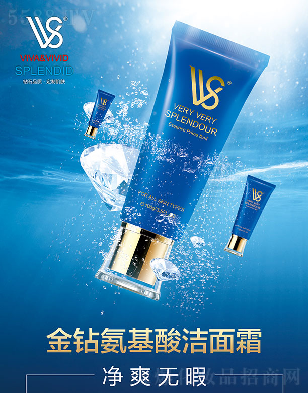 �V���������yƷ���޹�˾��VVS���@�����ᝍ��˪ 100g