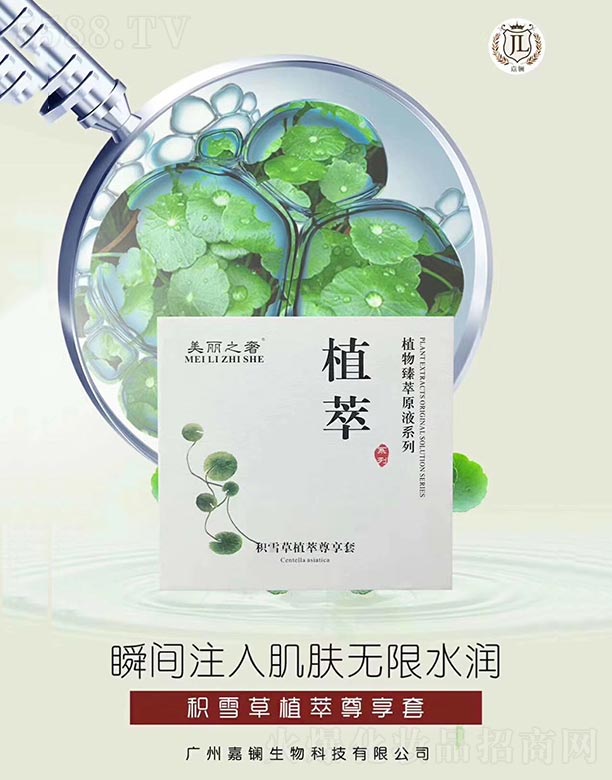 �V�ݼ��|����Ƽ����޹�˾����ľ���ݷeѩ��ֲ��������