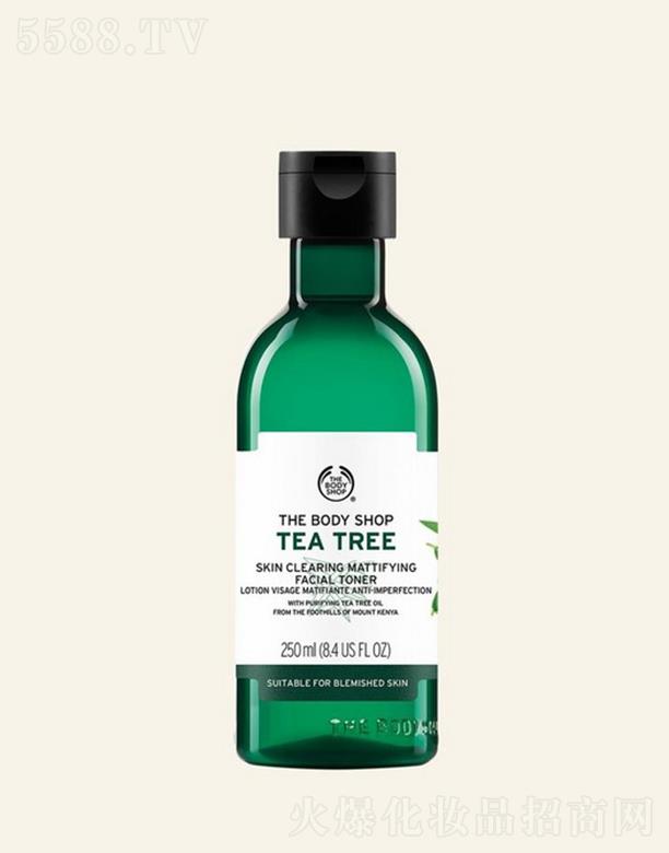 �W�R��(�Ї�(gu��))���޹�˾�����wС䁲�䝍��ˬ�wˮ  250ml���ƴִ�ë��