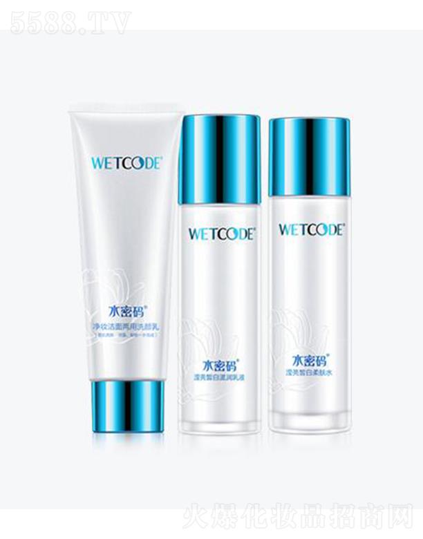 �V�|���˼��F���޹�˾��ˮ�ܴaѩ�͸�׶��������� ѩ�����w ����͸�� �̝�