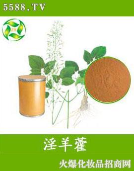 ��������޽