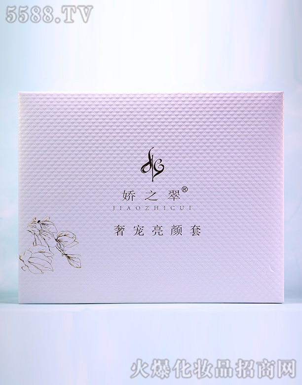 ��(hu��)�����݌������