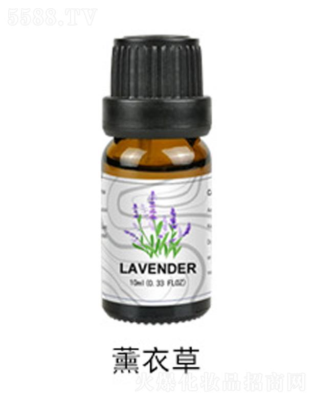 ޹�²���޹����