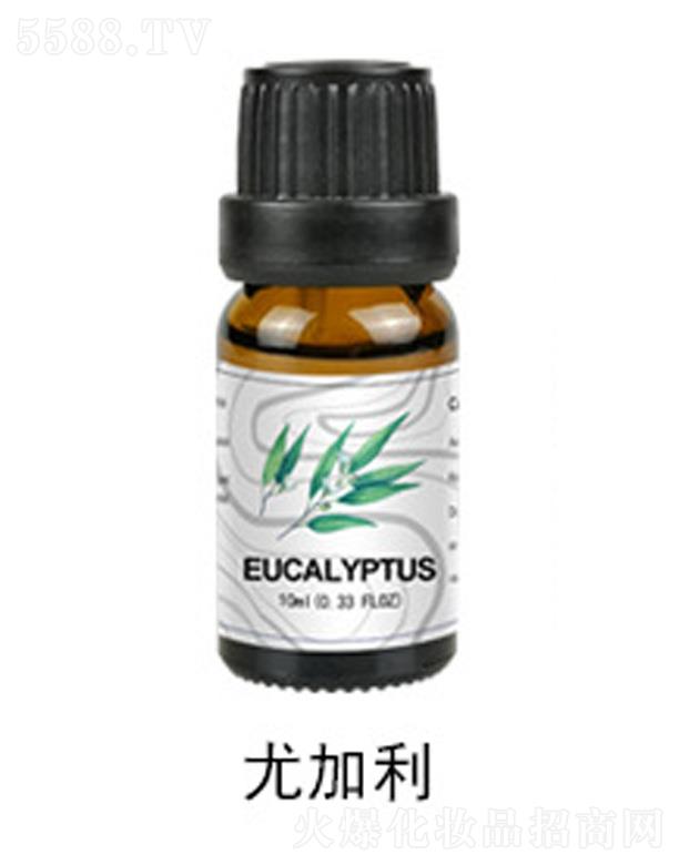 �ȼ�����޹����