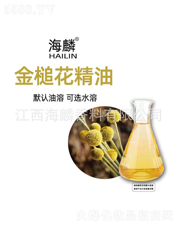 �����鳻�����