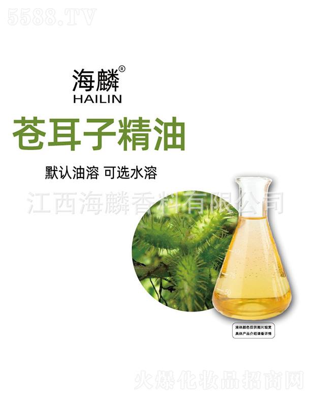 �����n���Ӿ���