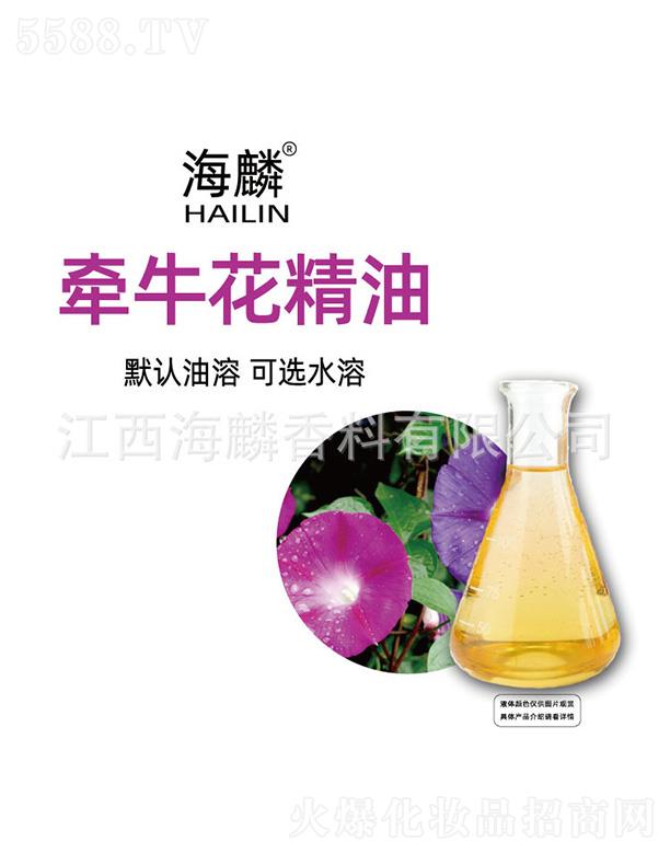 ���렿��������