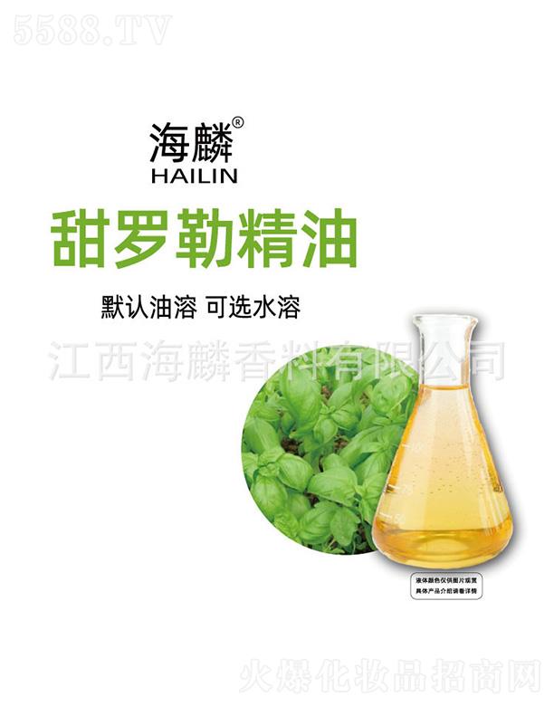 �������_�վ���