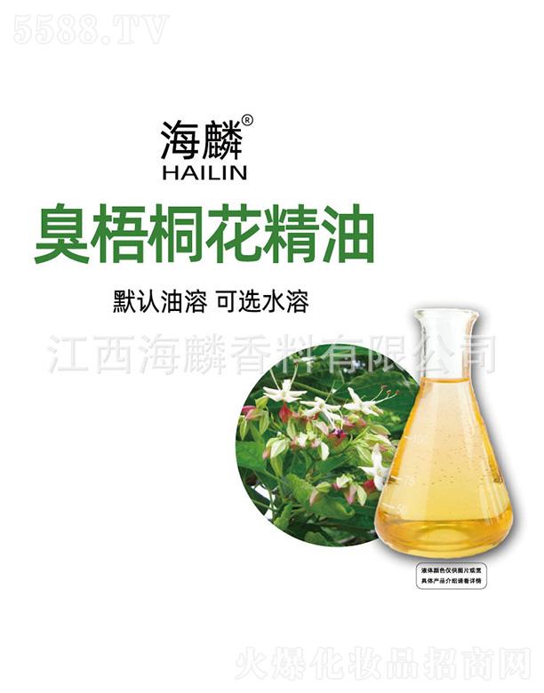 �������ͩ������