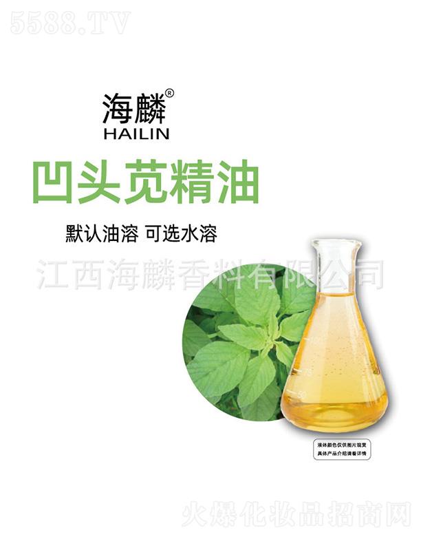 ���밼�^�{����