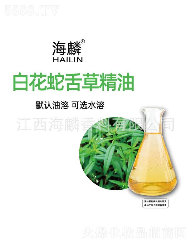 ����׻�����ݾ���