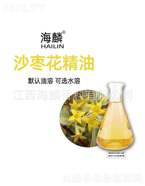 ����ɳ��������