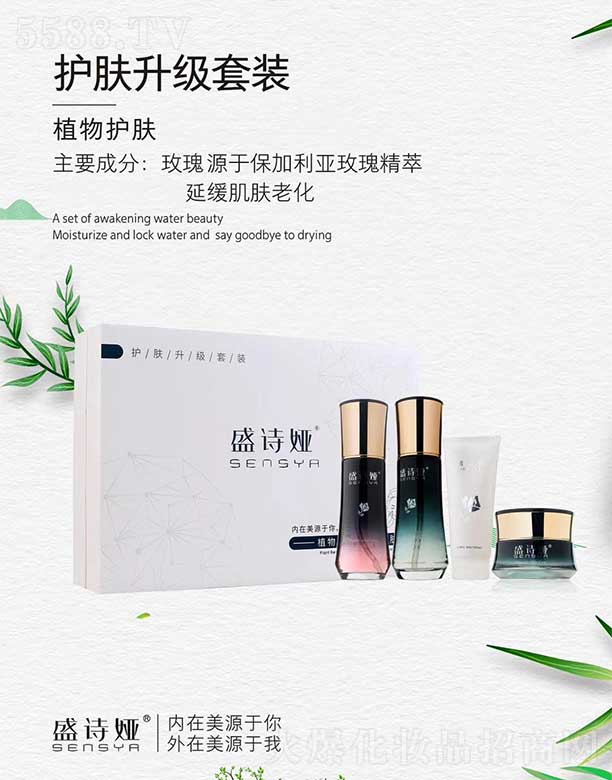 ʢԊ�I�o�w�������b