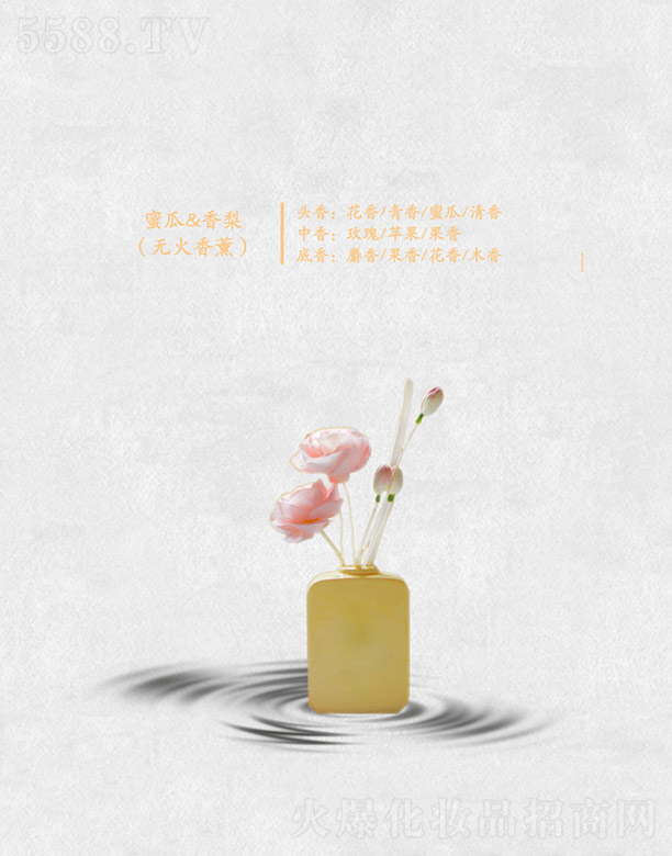 �۹�&����(�o����޹)