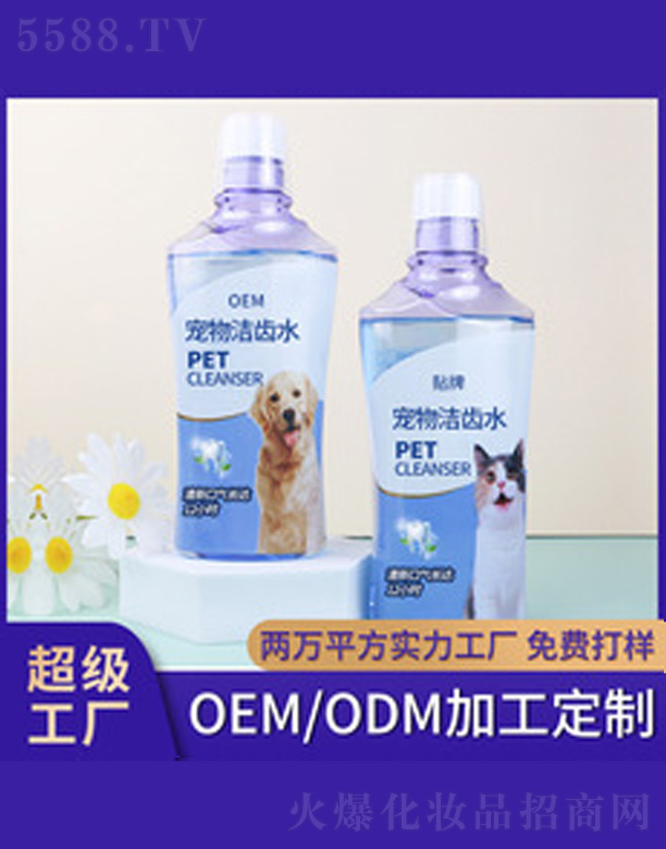 ���㌙������ˮ