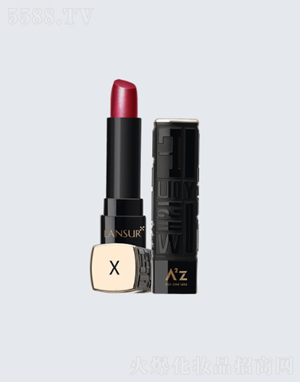 �mɪ���ڴ��ࣨ���٣�X02���� 2.2g