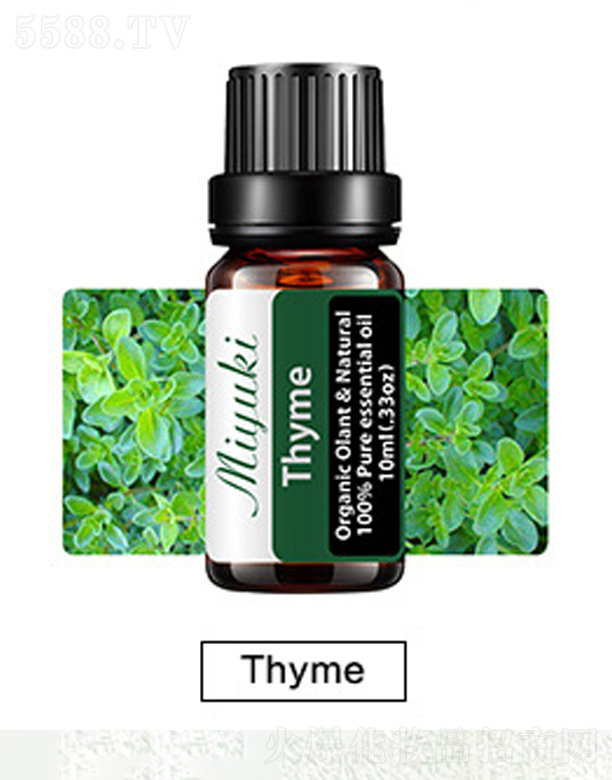 �o�w��޹��Ħ��-Thyme������