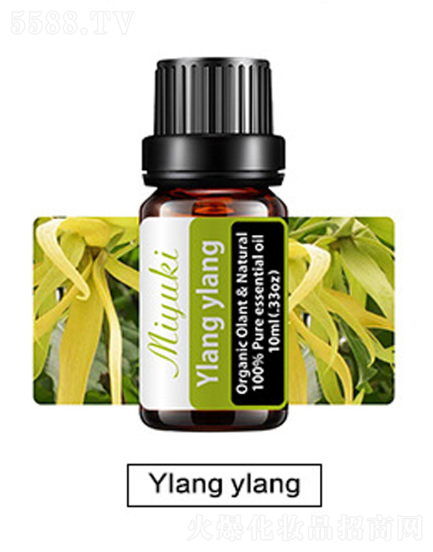 �o(h��)�w��޹��Ħ��-Ylang ylang���m