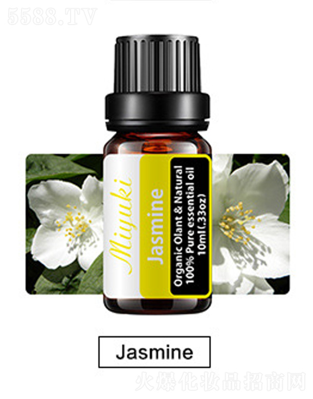 �o�w��޹��Ħ��-Jasmine����