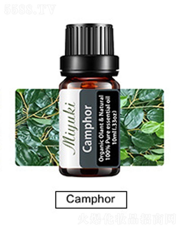 �o(h��)�w��޹��Ħ��-Camphor���X