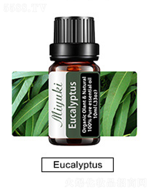 �o(h��)�w��޹��Ħ��-Eucalyptus���
