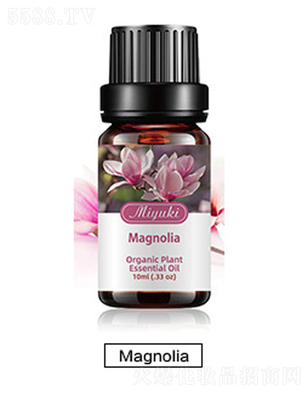 �o(h��)�w��޹��Ħ��-Magnoliaľ�m