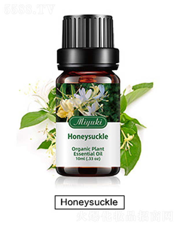 �o�w��޹��Ħ��-Honeysuckle���y��