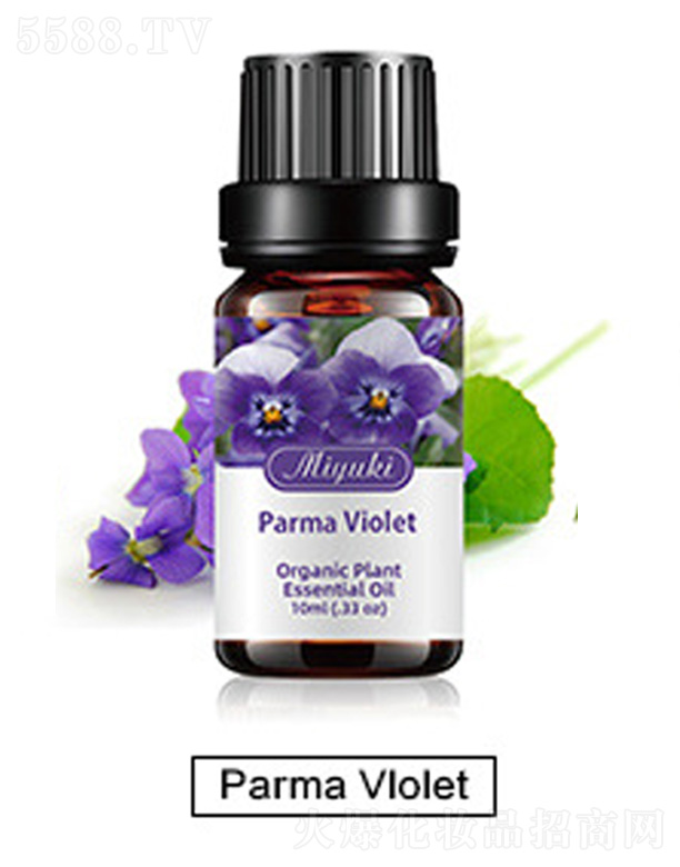 �o(h��)�w��޹��Ħ��-Parma Vlolet