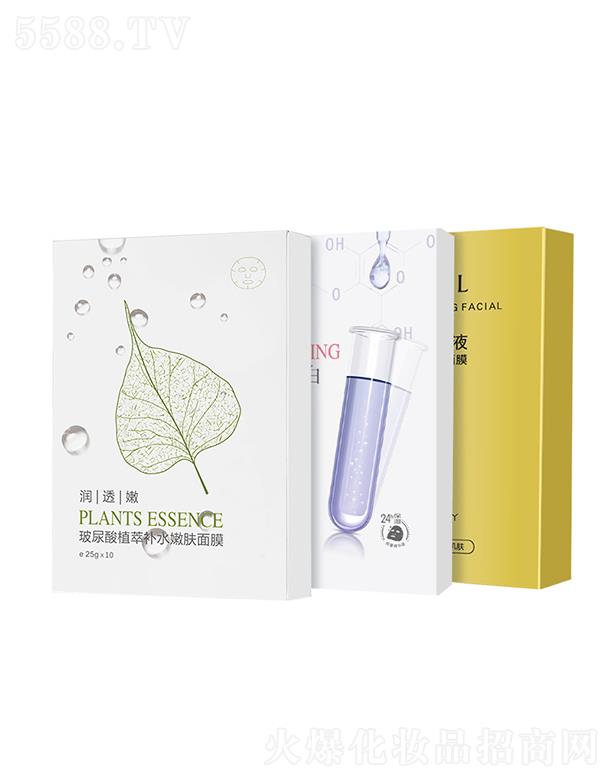 �V���n������   �_����������Ĥ   �������