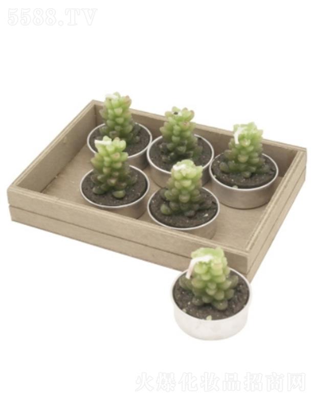 �R���ጚʯ��Ϟ�TA��6����������һ�ݲ�ͬ���ľ�