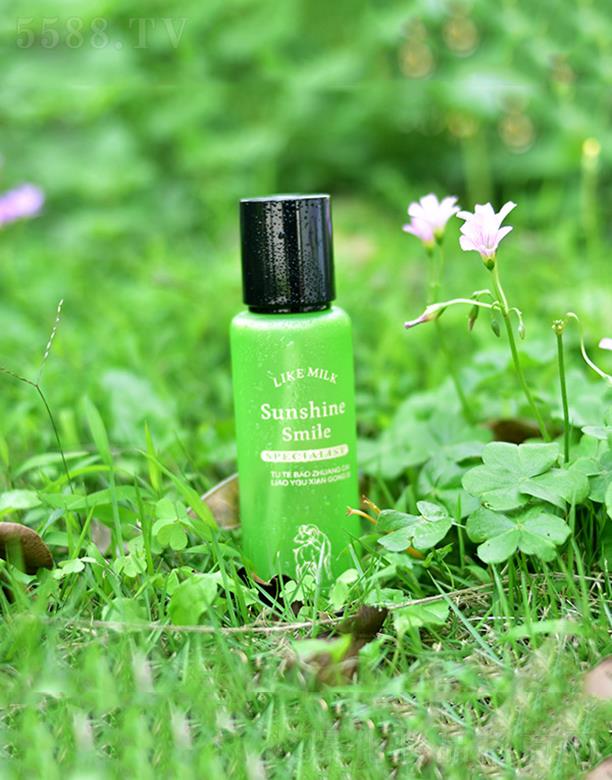 �WȪ��������AҺ  �տsë��