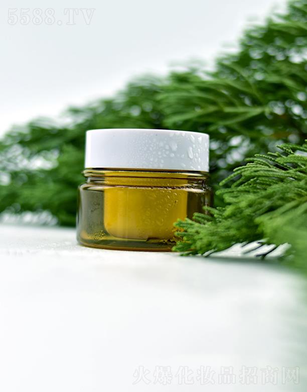 �WȪ�����ݱ������  �I�B(y��ng)�ޏ�(f��)