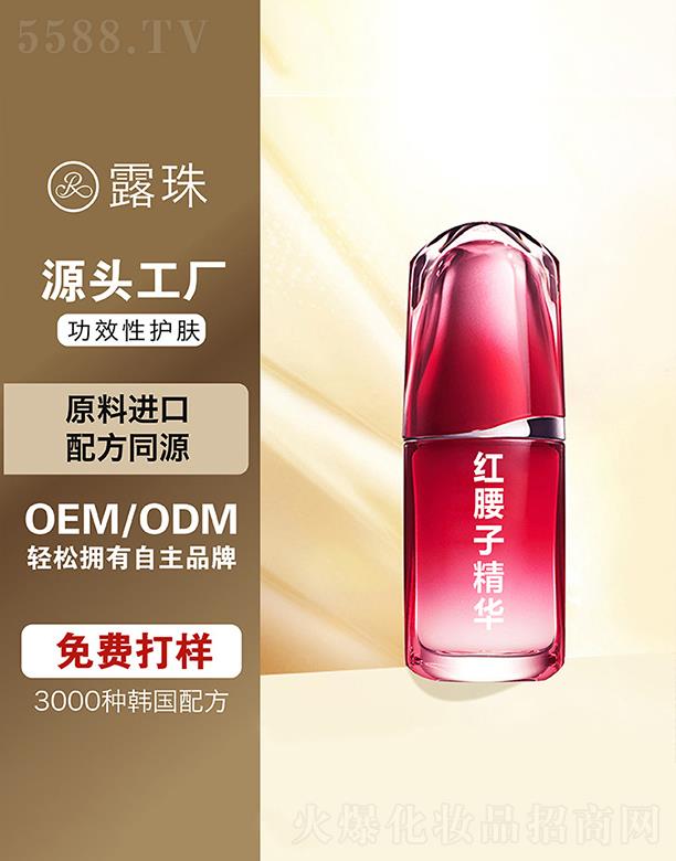 ¶������Ƽ�   �ؑc¶��t���Ӿ��A  �o�����o(h��)   �����̝�