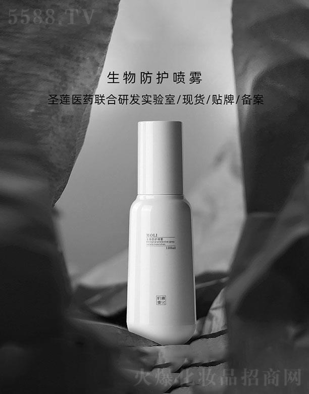 �V��ʥɏ   ʥɏ������o(h��)���F  �����ϻ�   �����ɻ�