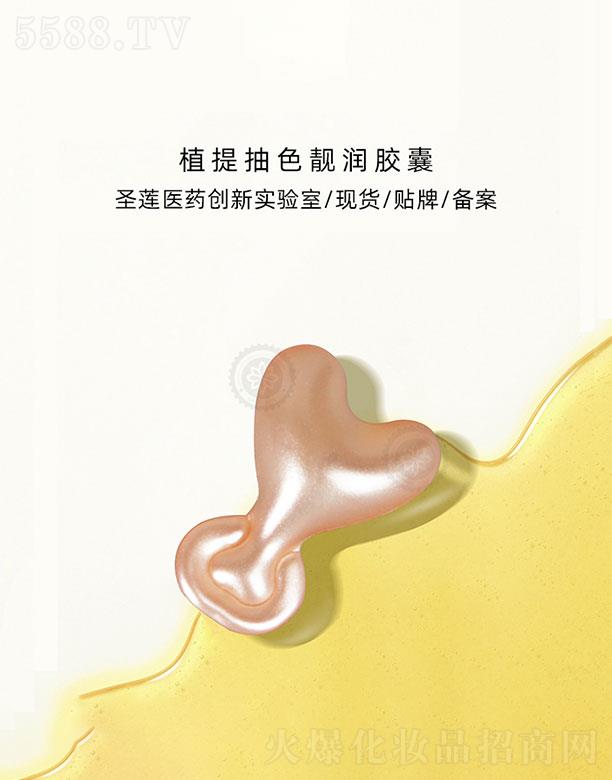 �V��ʥɏ  ʥɏֲ���ɫ�n���z��   �����wɫ