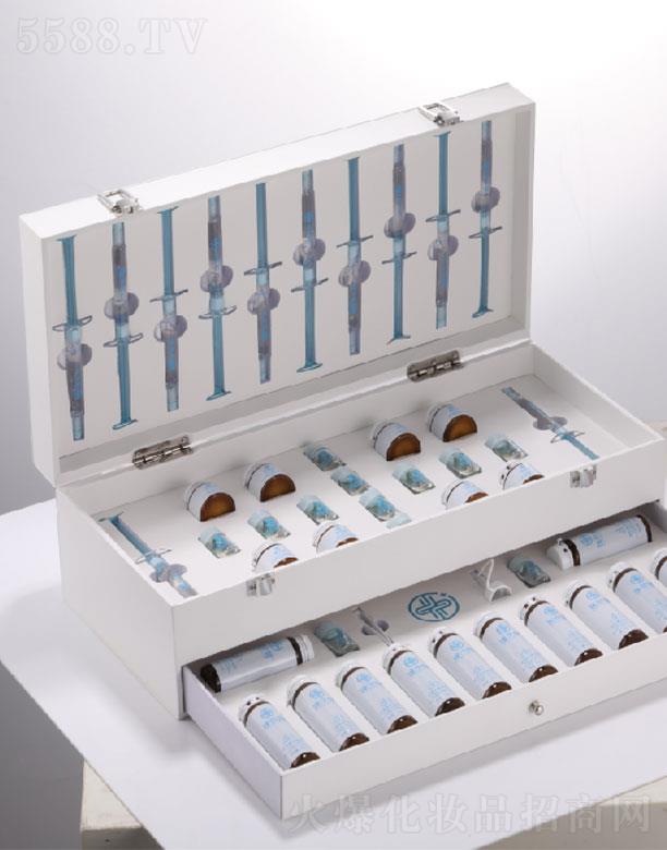 ������v�����������