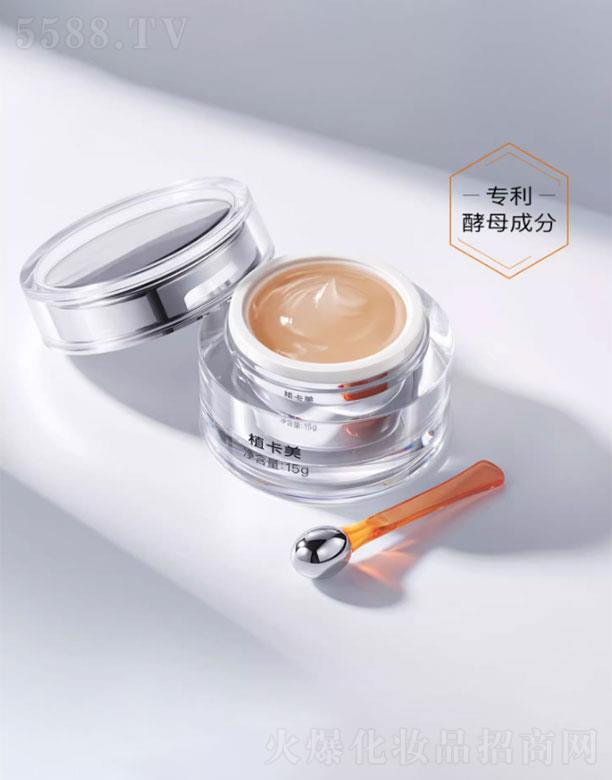 ֲ��������������˪