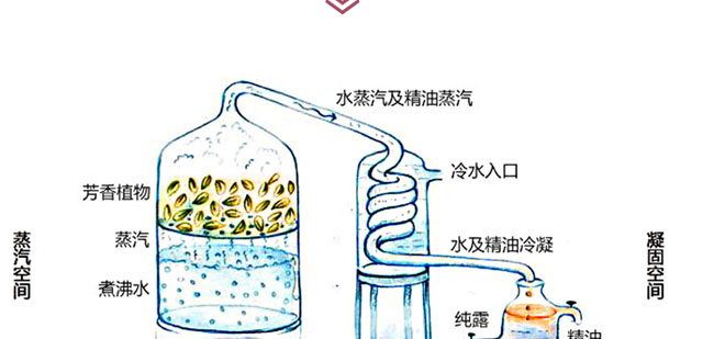 �؊}��õ�弃¶